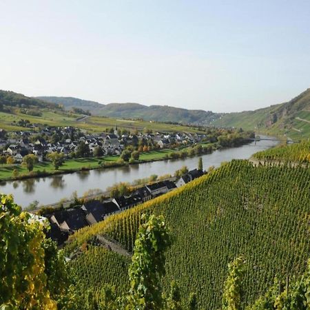 Sch Ne Wohnung In Der Moselregion Kinheim Kültér fotó
