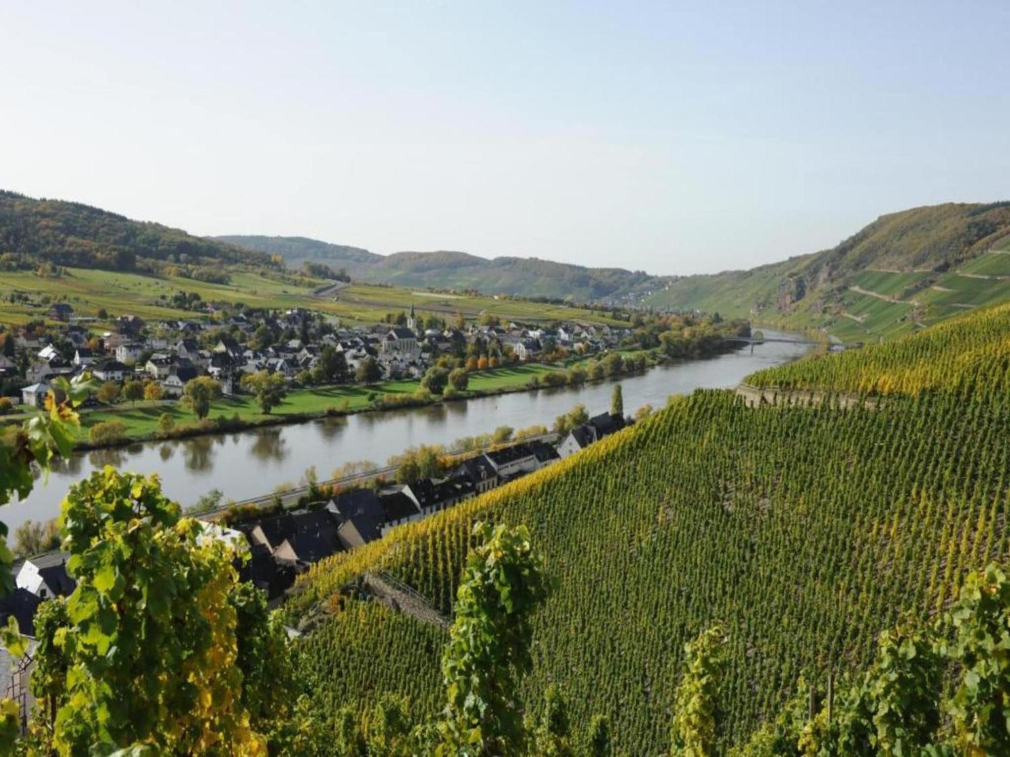 Sch Ne Wohnung In Der Moselregion Kinheim Kültér fotó