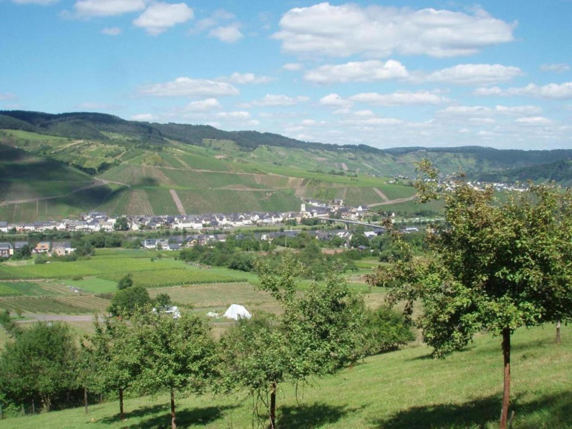 Sch Ne Wohnung In Der Moselregion Kinheim Kültér fotó