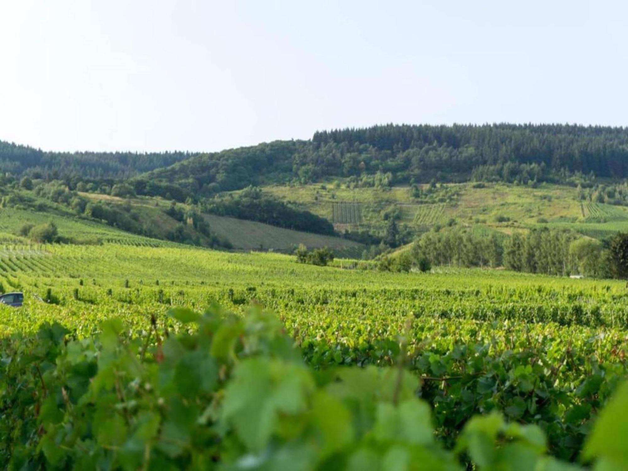 Sch Ne Wohnung In Der Moselregion Kinheim Kültér fotó