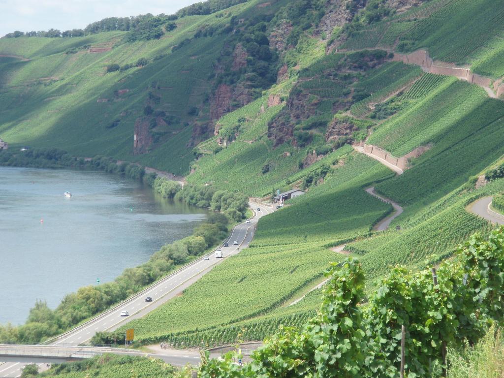 Sch Ne Wohnung In Der Moselregion Kinheim Kültér fotó