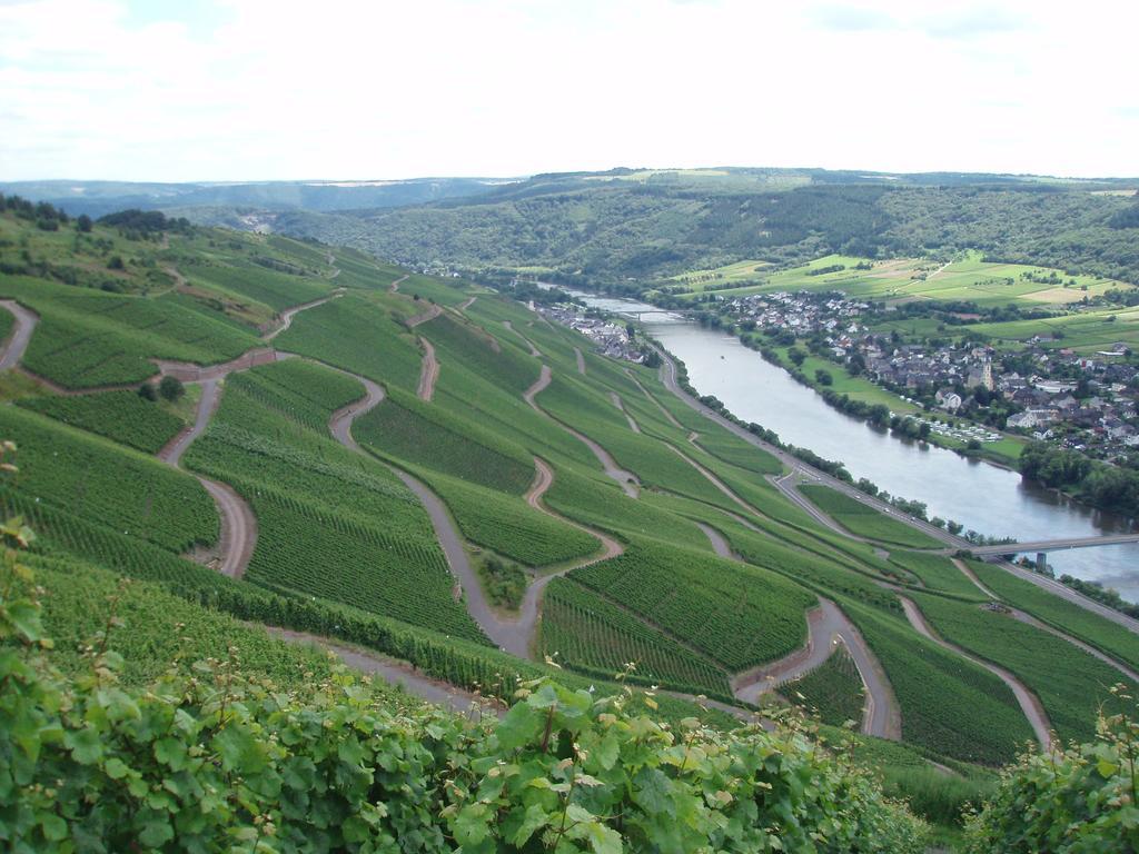 Sch Ne Wohnung In Der Moselregion Kinheim Kültér fotó