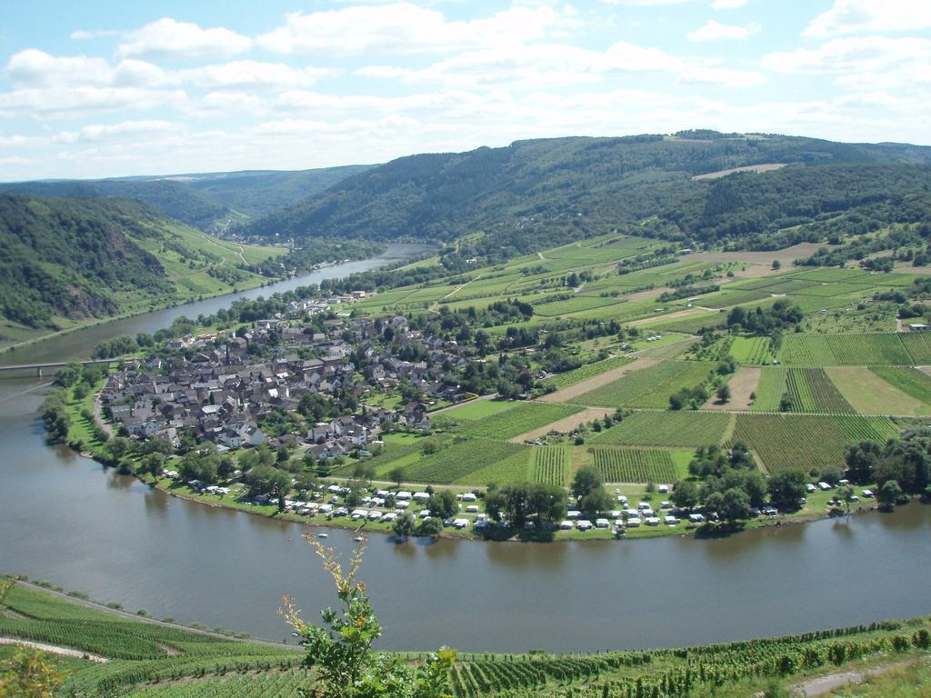 Sch Ne Wohnung In Der Moselregion Kinheim Kültér fotó